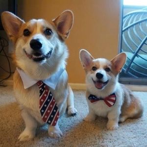 Meet your Posher, Anne